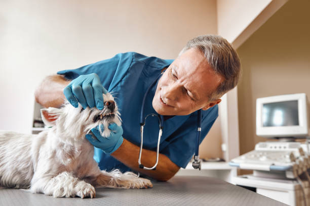 Best Emergency Tooth Extraction in Candler Mcafee, GA